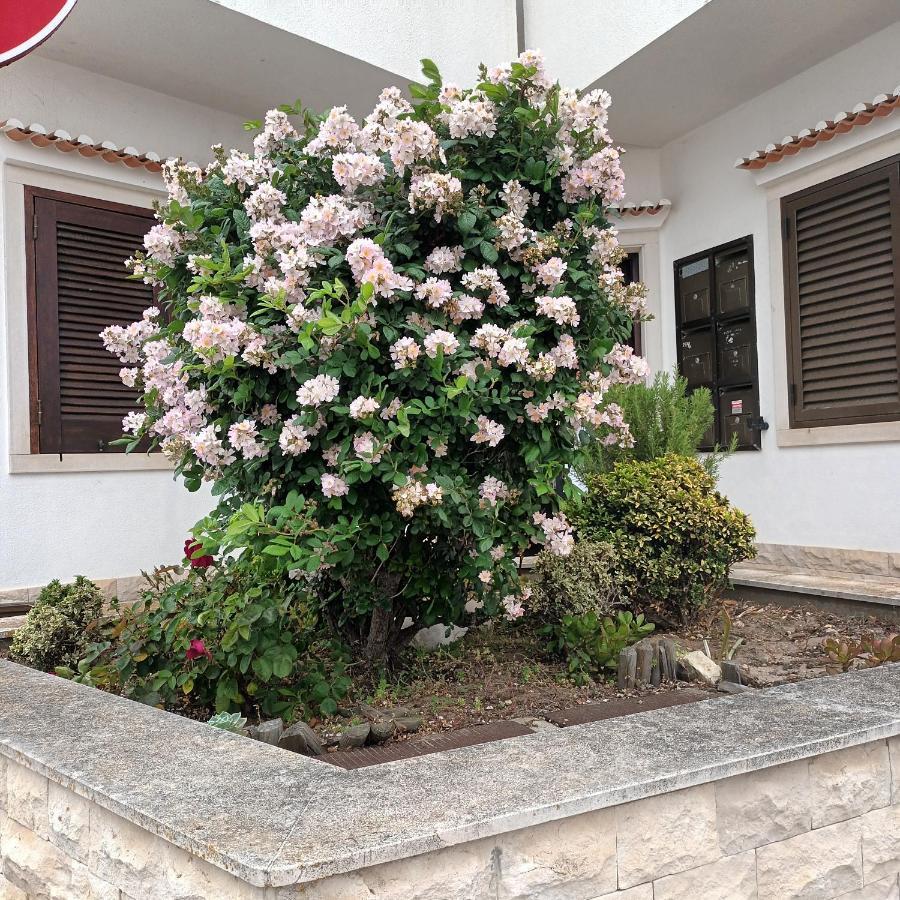 A Casa Na Foz ! West Is The Best ! Foz do Arelho Exterior foto